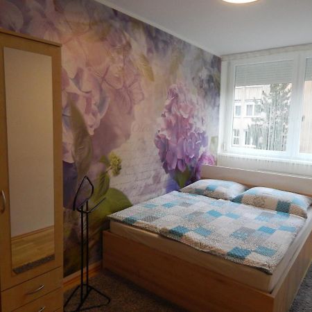 Boros Apartman Kőszeg 外观 照片